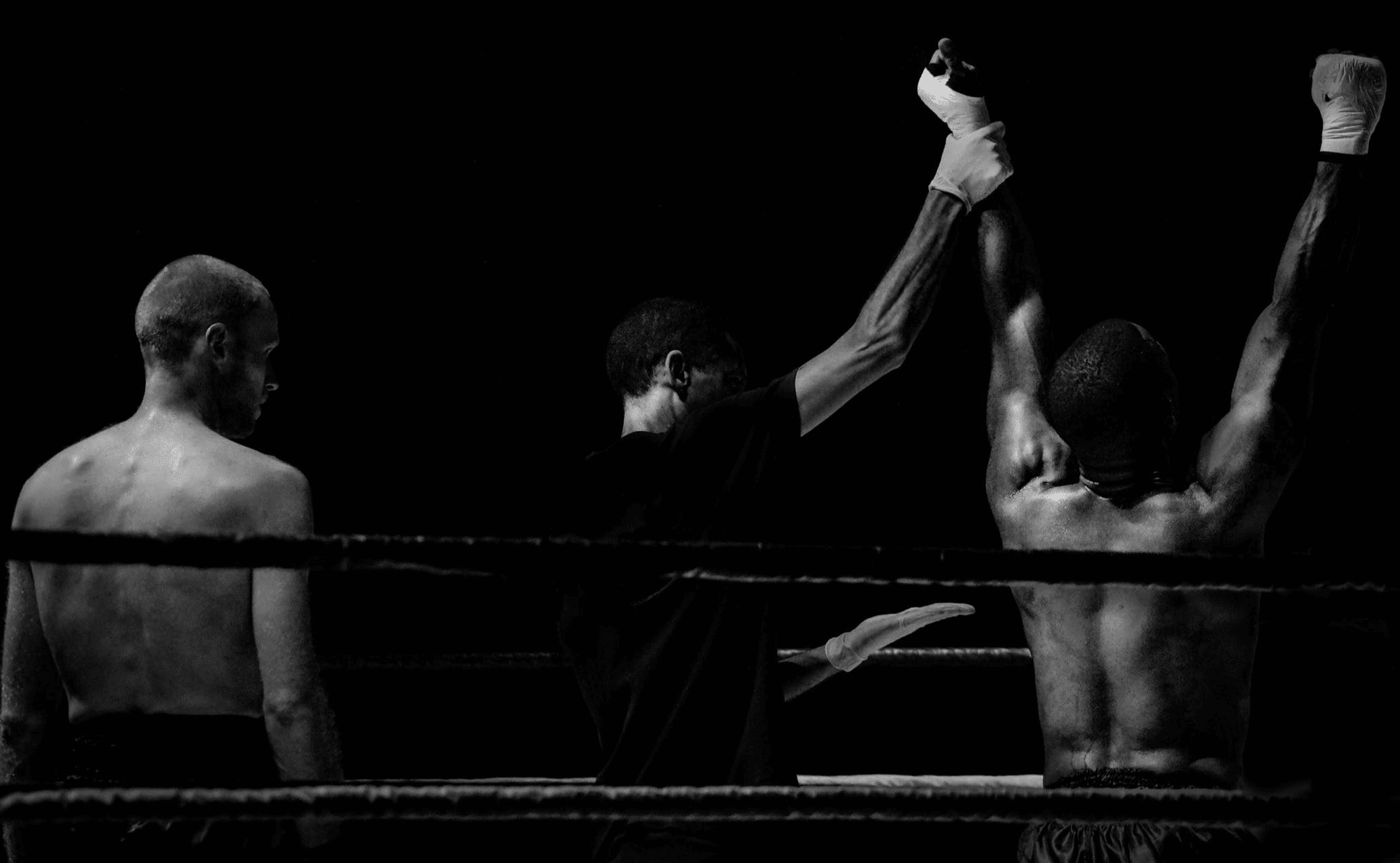 black-and-white-sport-fight-boxercrop